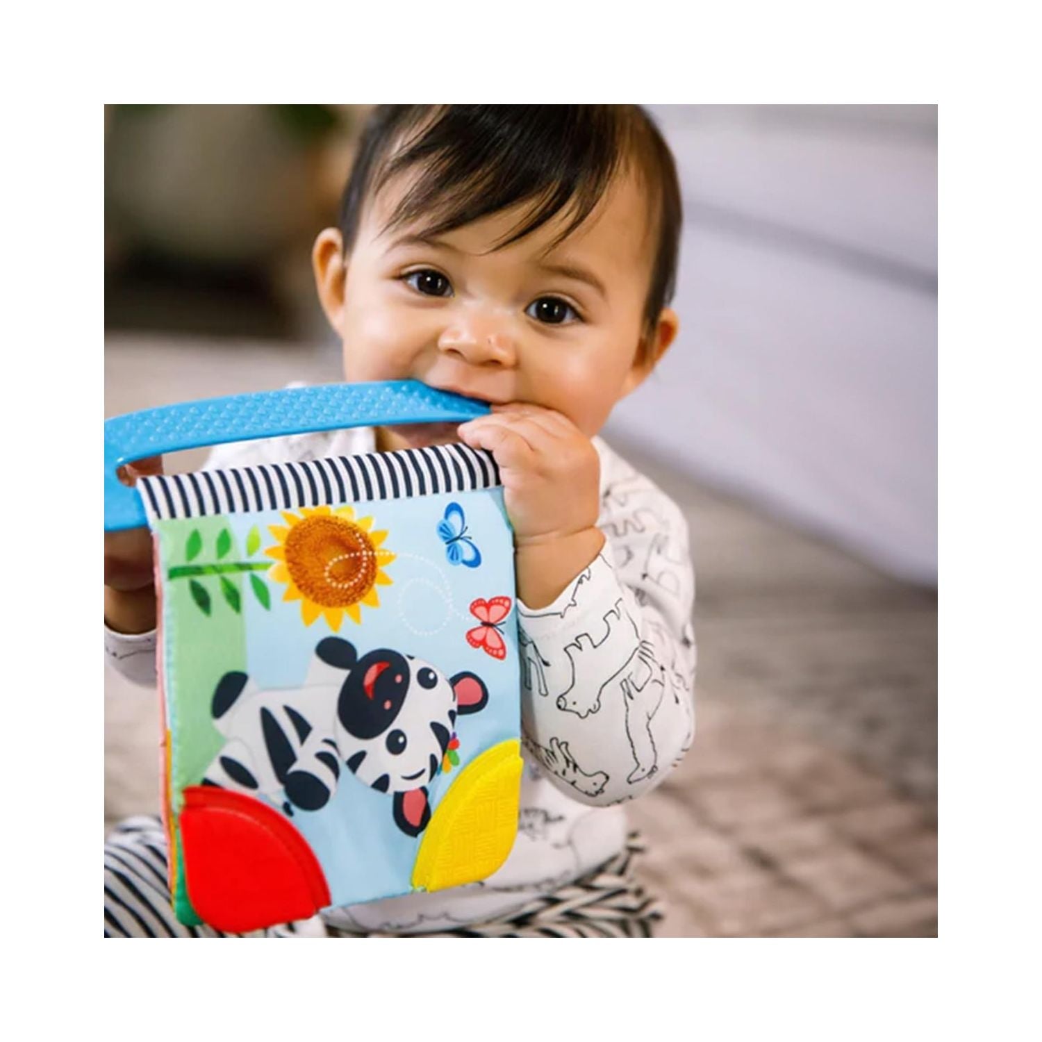 Baby Einstein - Curious Explorers Teether Book