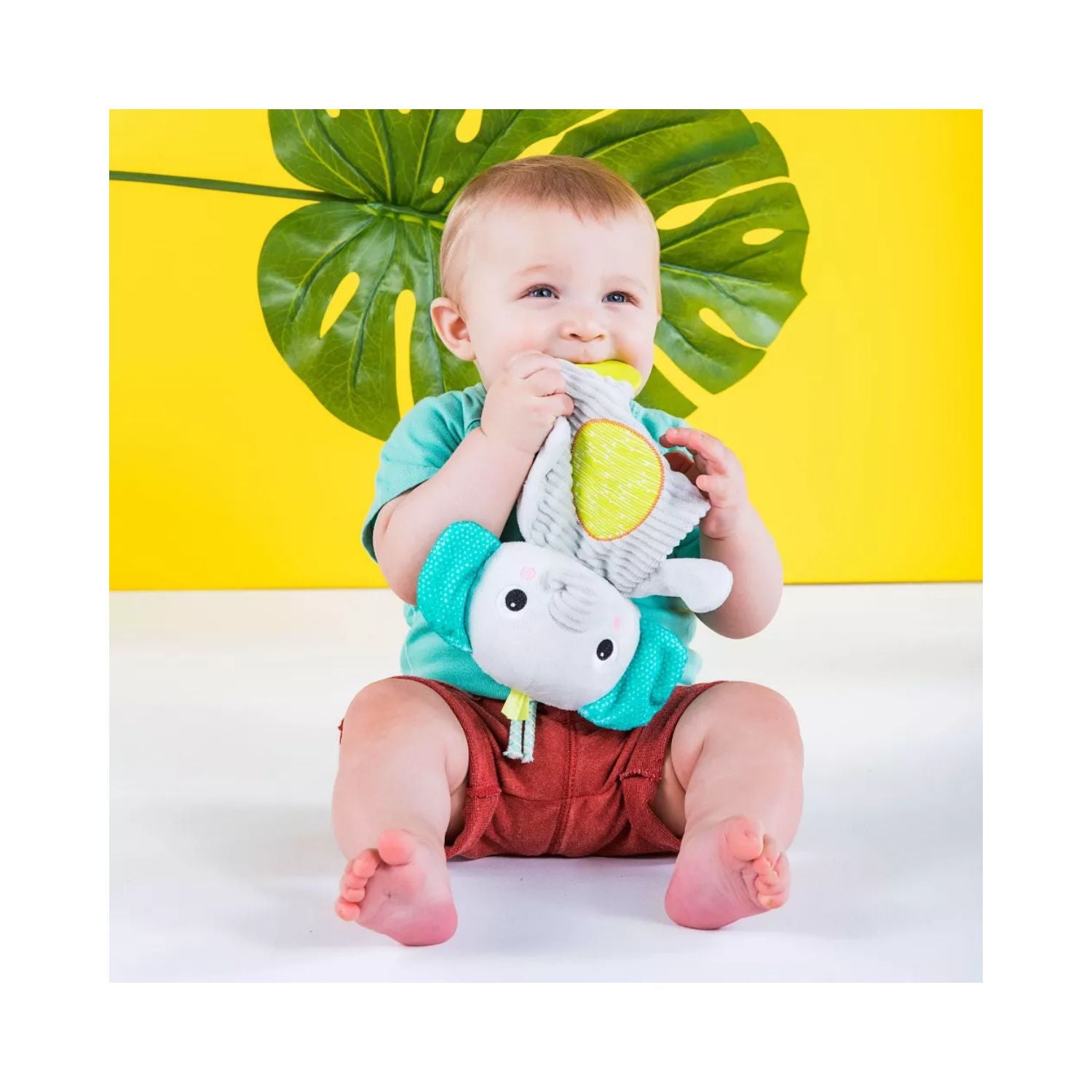 Bright Starts Snuggle & Teethe Plush - Elephant