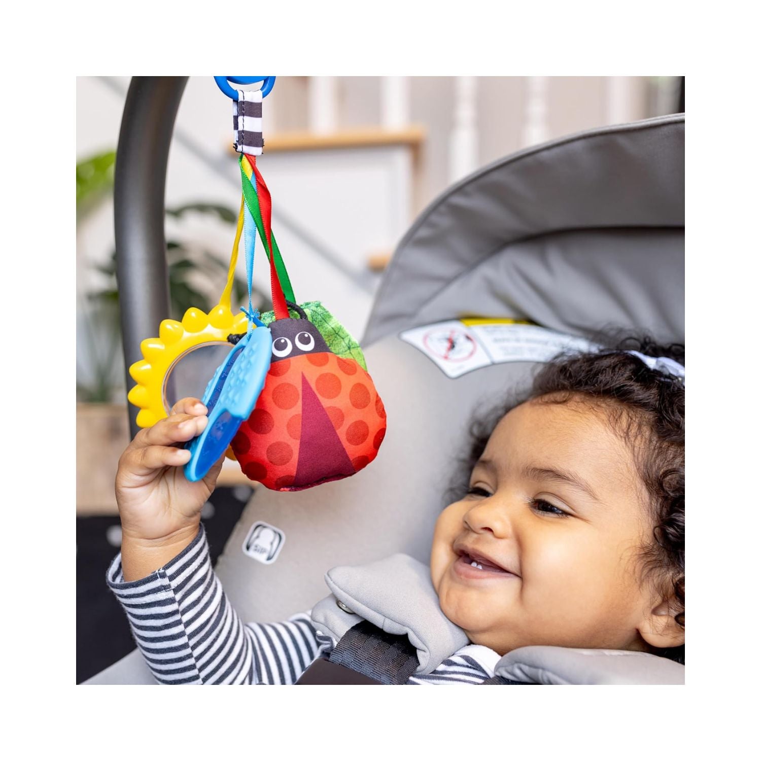 Baby Einstein Touch of Nature