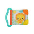 Bright Starts Teeth & Read