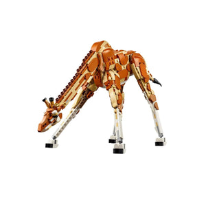 LEGO® Creator 3-in-1 Wild Safari Animals 31150
