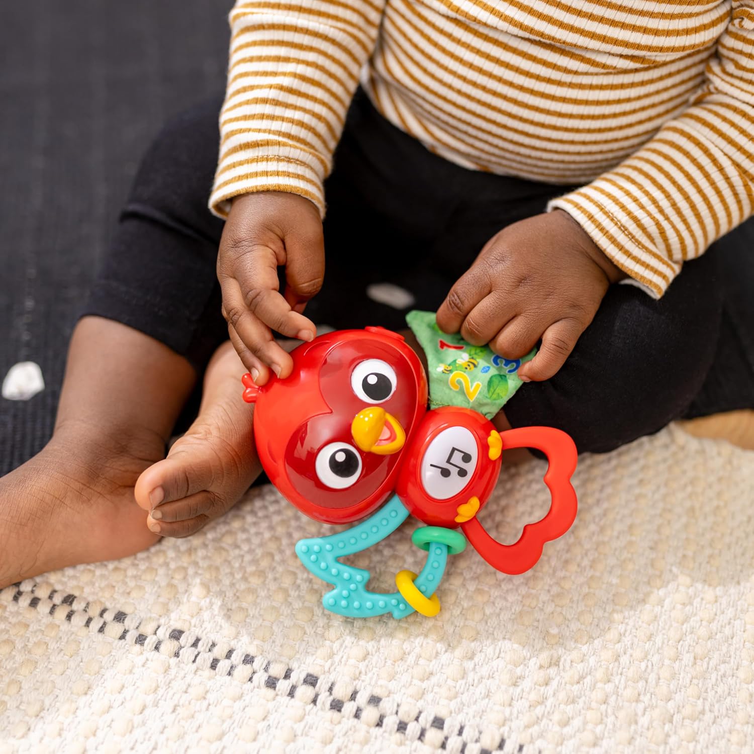 Baby Einstein - Roxy Take-Along Pal Musical Toy
