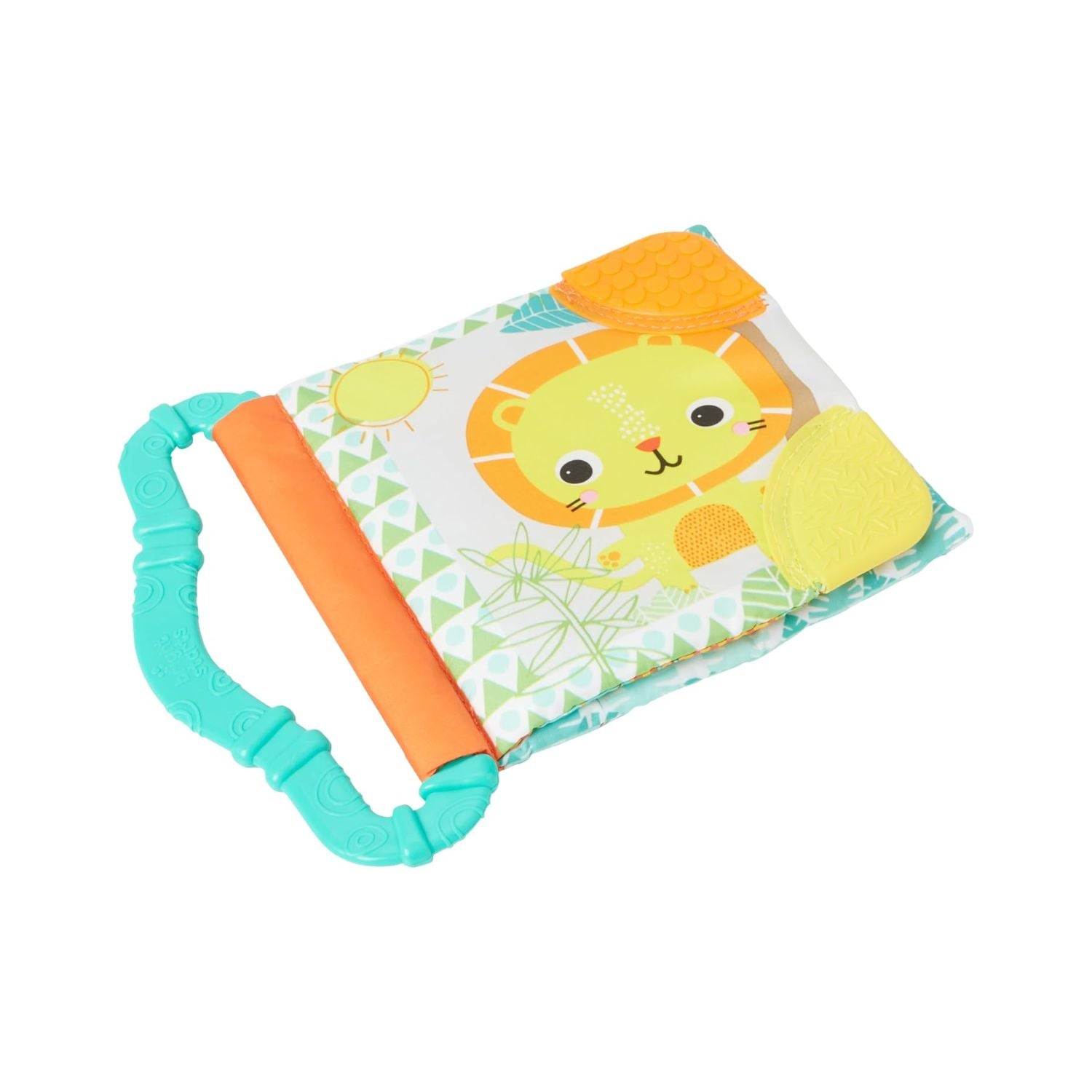 Bright Starts Teeth & Read