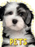 Touch and Sparkle - Pets