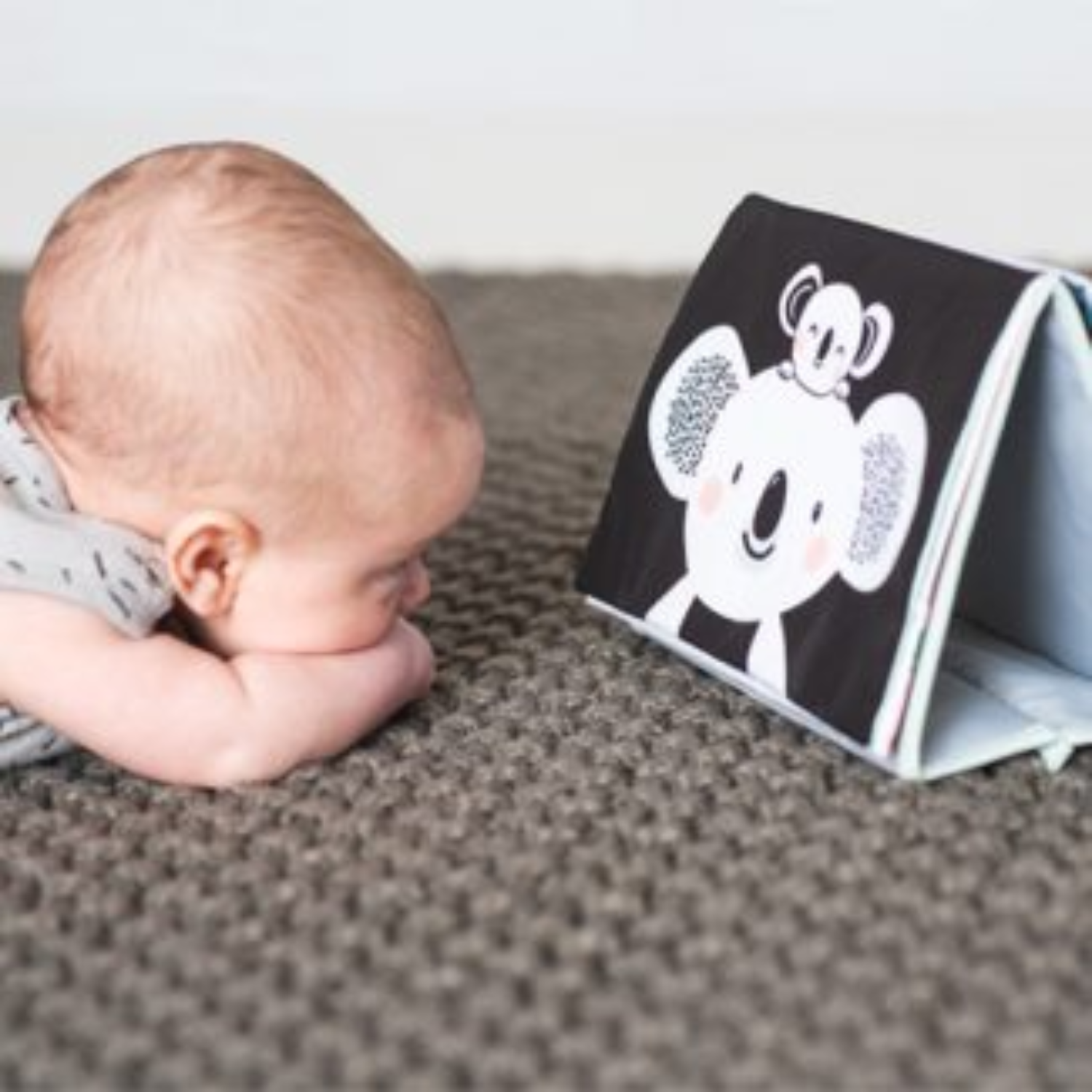 Taf Toys Tummy-Time Book