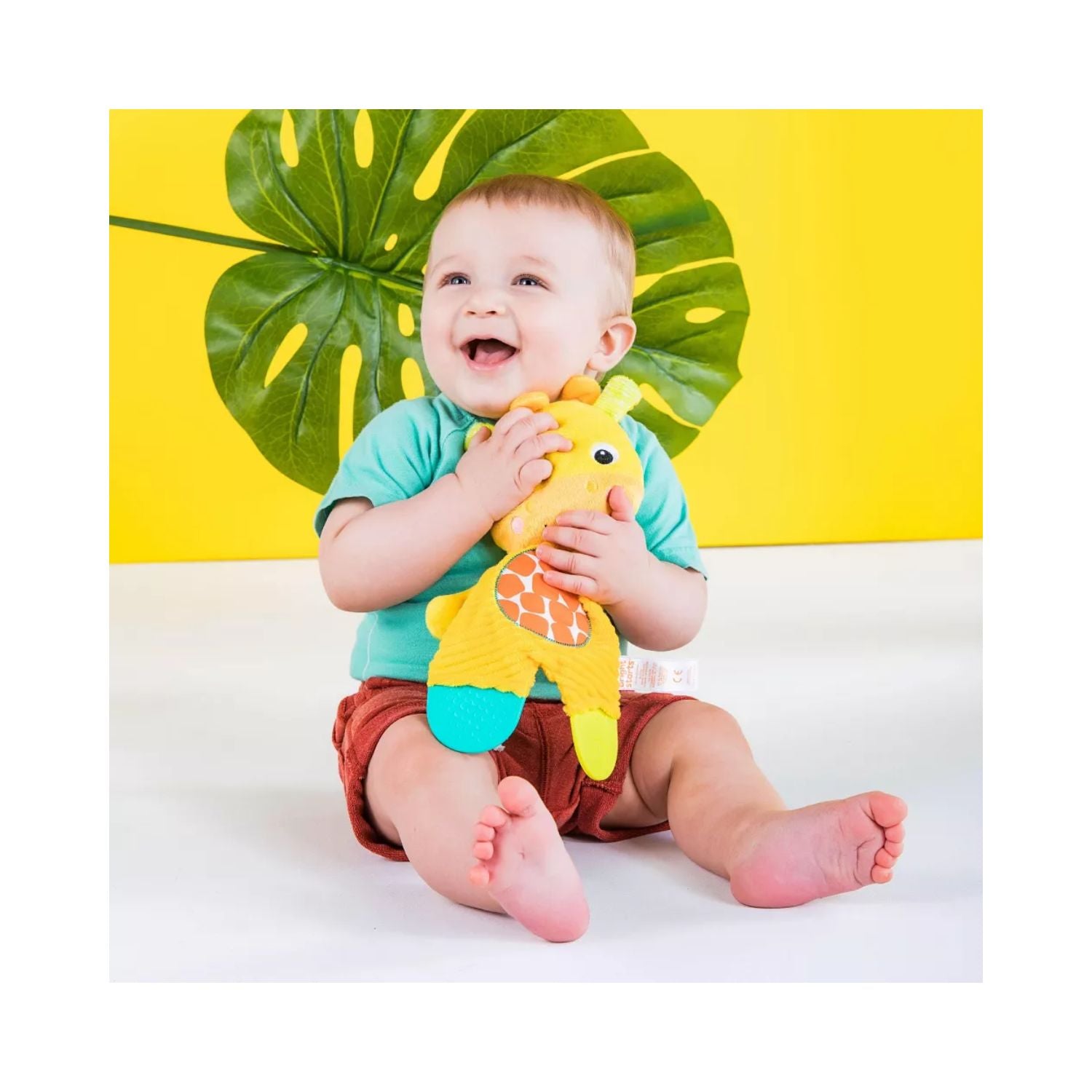 Bright Starts Snuggle & Teethe Plush - Giraffe
