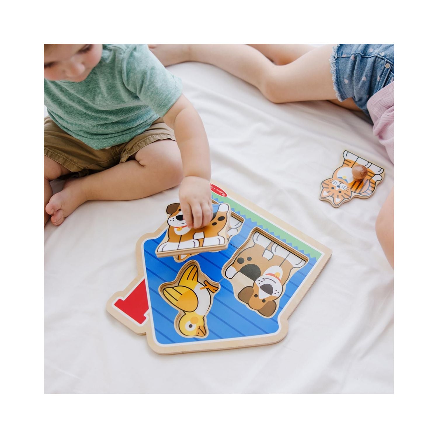 Melissa & Doug House Pets Jumbo Knob
