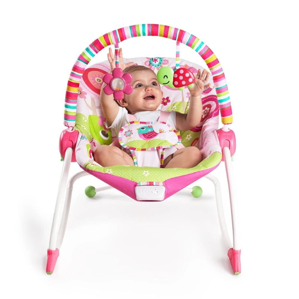 Bright Starts Infant To Toddler Rocker Raspberry Garden - Box Damaged