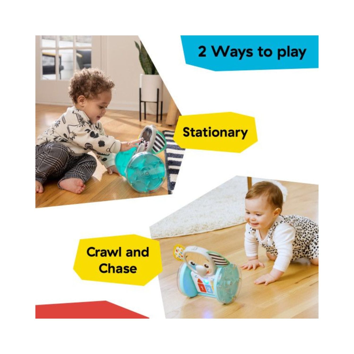 Baby Einstein Classics 4 Earl
