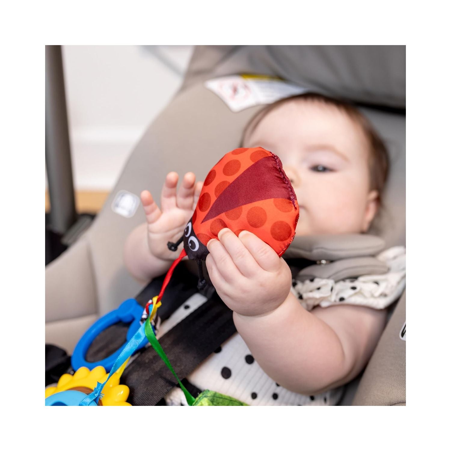 Baby Einstein Touch of Nature