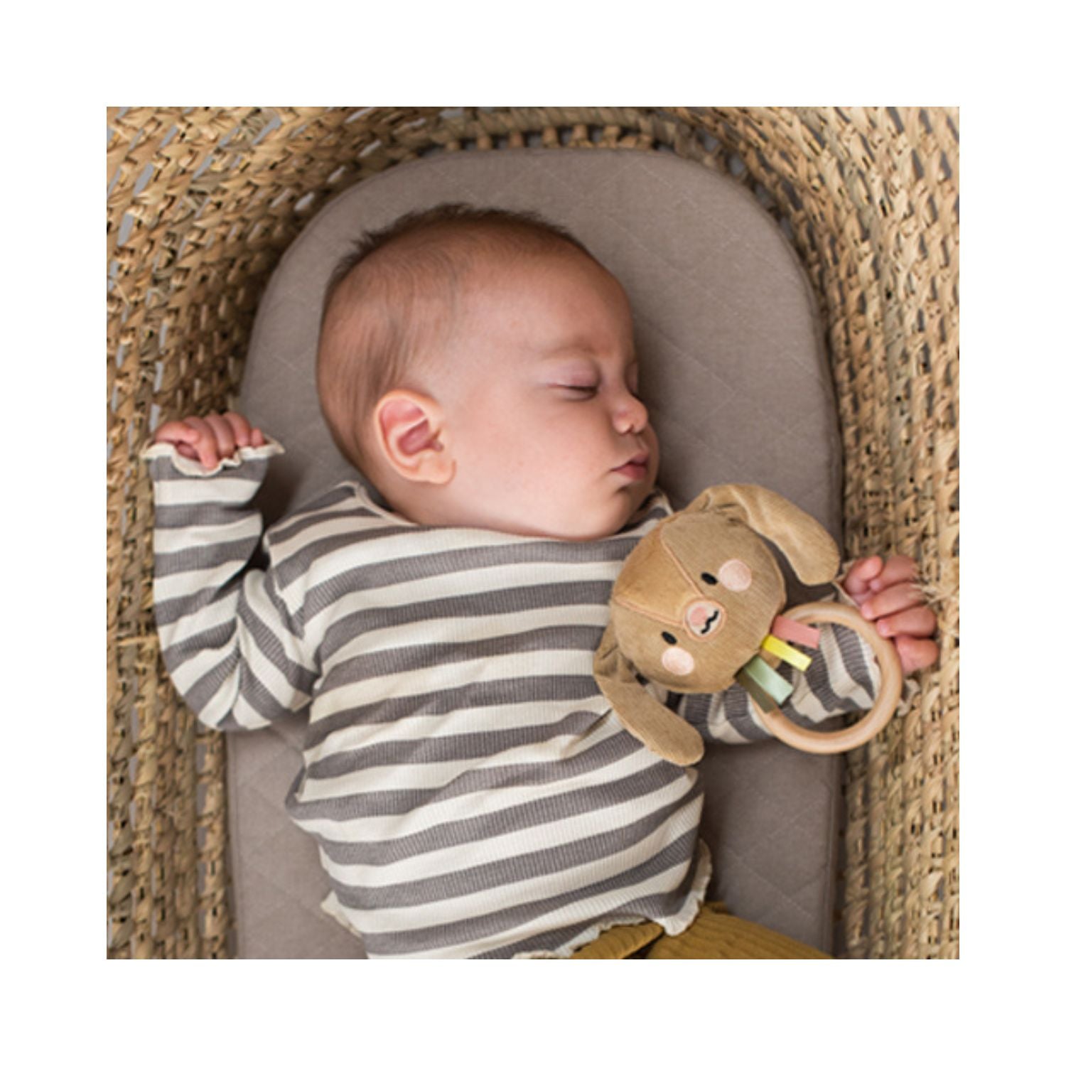 Taf Toys Jenny Bunny rattle