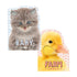My First Sensory Sensory Animal Library: Farm & Baby Friends (2-Book Set) For Ages 0-5