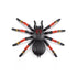 ZURU Robo Alive Creepy Crawly 3-Pack Robotic Spider & Snake Toy Set