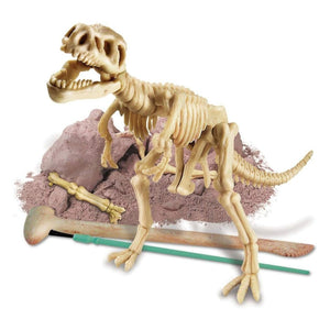 4M Tyrannosaurus Rex Skeleton