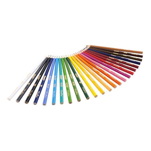 Crayola - 24 Coloured Pencil