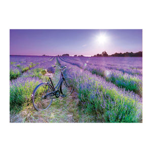 Educa Bike In A Lavender Field Adult Puzzle 1000 Piece
