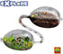SES Creative Explore Insect City