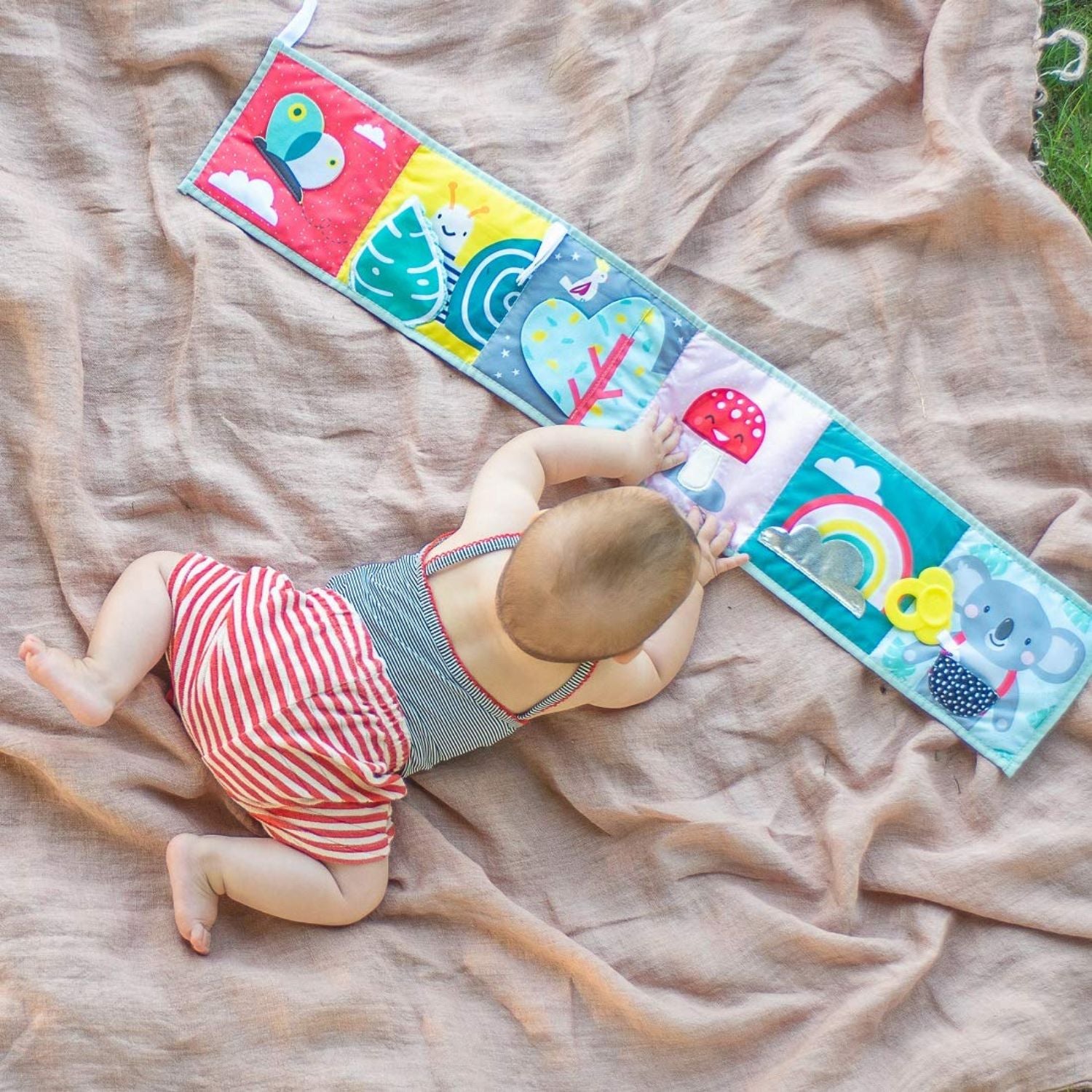 Taf Toys Koala Clip On Pram Book