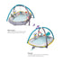 Taf Toys Koala Musical Newborn Cosy Gym