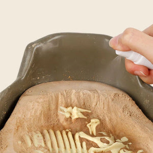 TopBright Cretaceous Deluxe Dinosaur Fossil Dig Kit